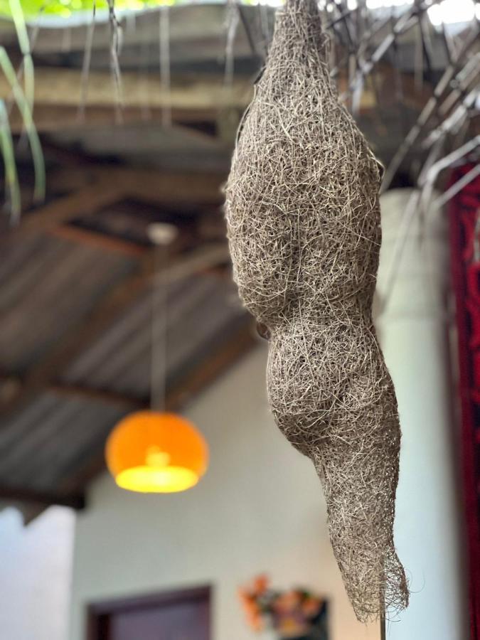 Mamba Hotel Tangalle Ngoại thất bức ảnh