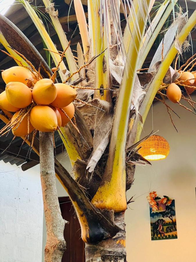 Mamba Hotel Tangalle Ngoại thất bức ảnh