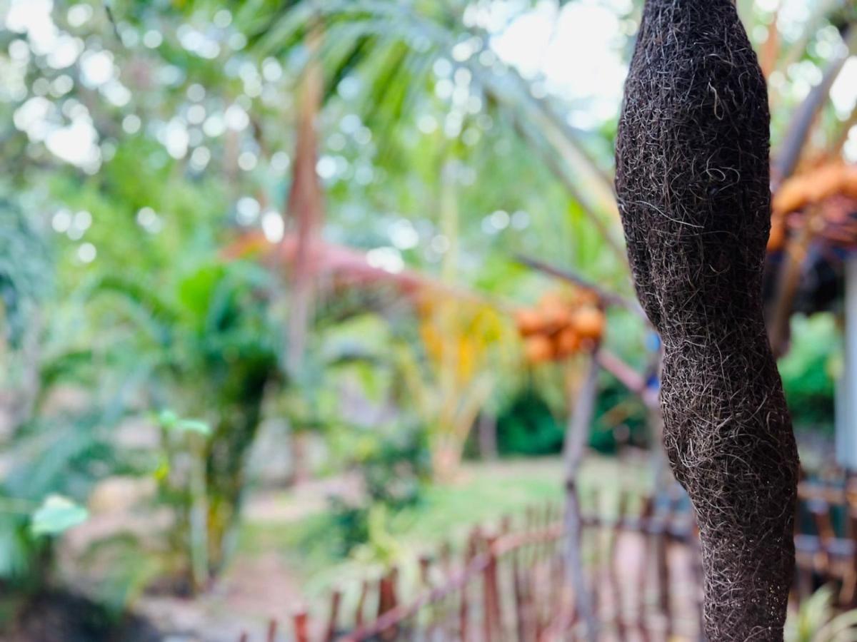 Mamba Hotel Tangalle Ngoại thất bức ảnh